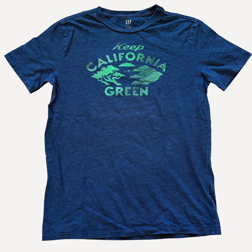 Gap Men’s Navy And Mint Graphic T-Shirt